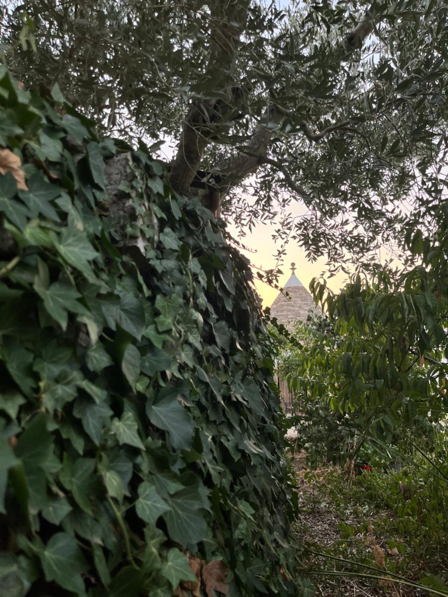 Borgo Miceli Da Giovanni Locorotondo Zewnętrze zdjęcie